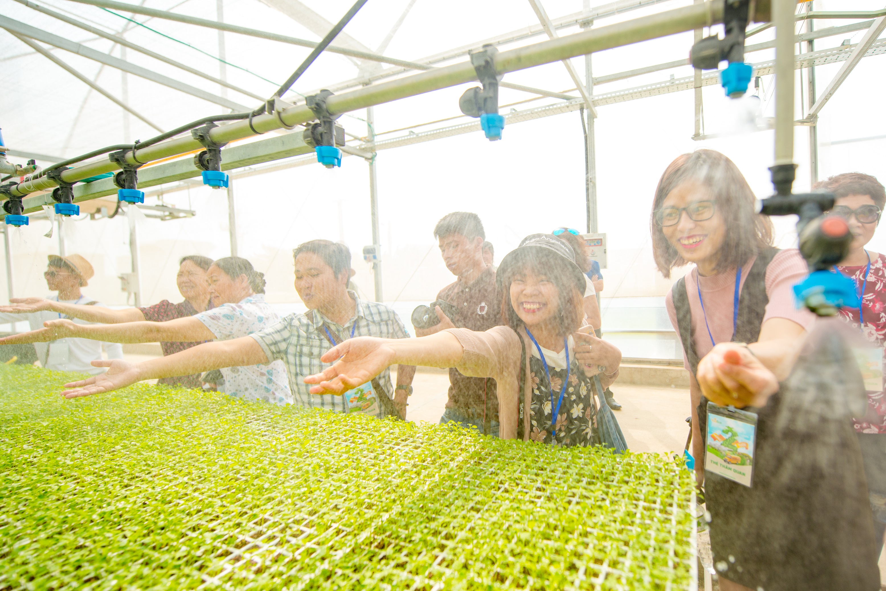 The WinEco hi-tech farms provide clean fruits and vegetables to consumers